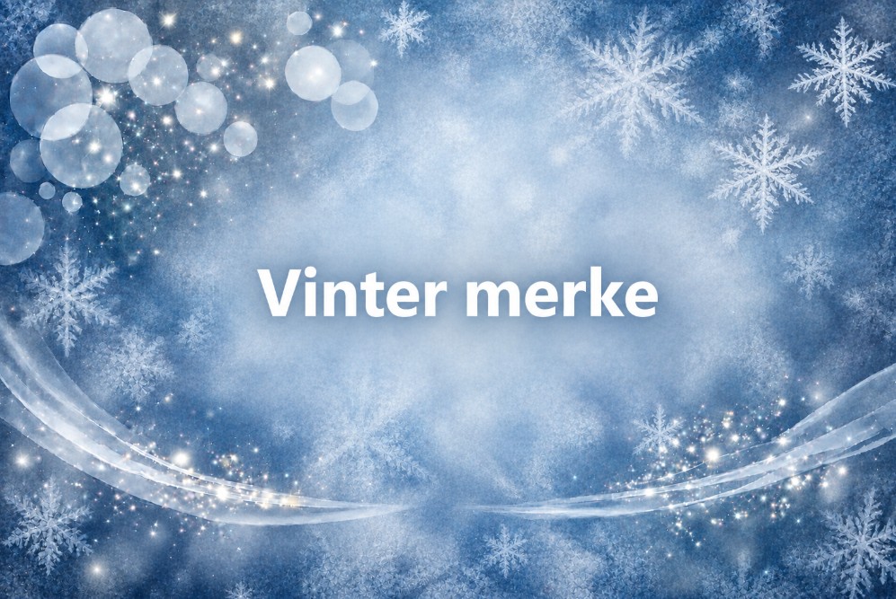 Vinter merke